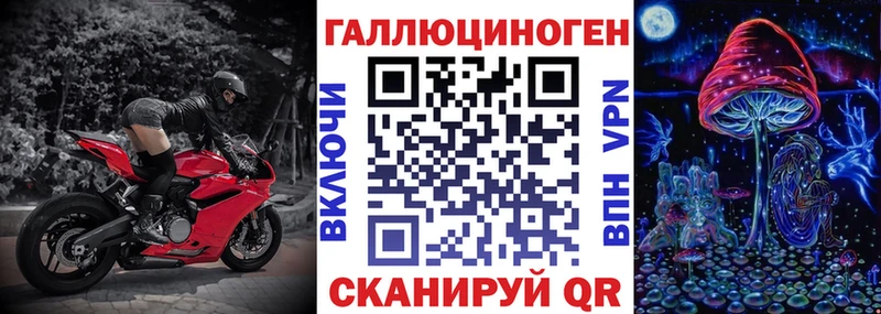 Псилоцибиновые грибы Psilocybe  Большой Камень 